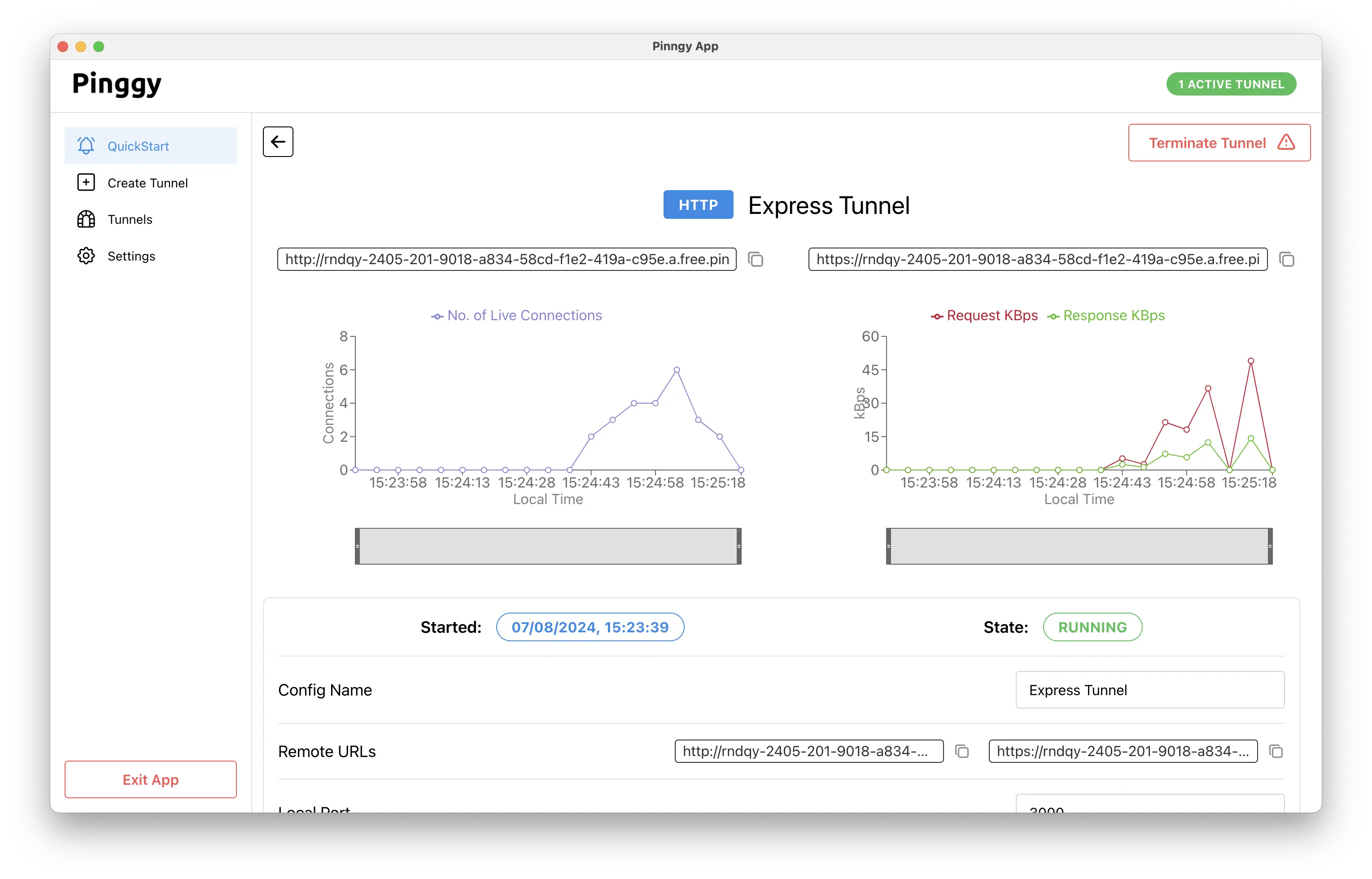 Pinggy web debugger screenshot